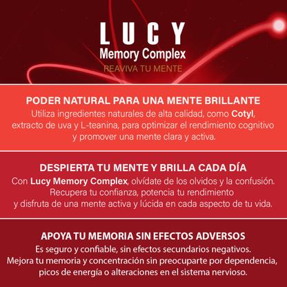 Lucy Memory